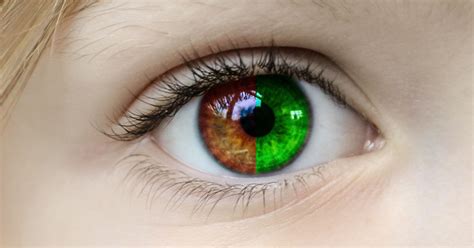 odd eyes human|The Red and Green Specialists: Why Human Color .